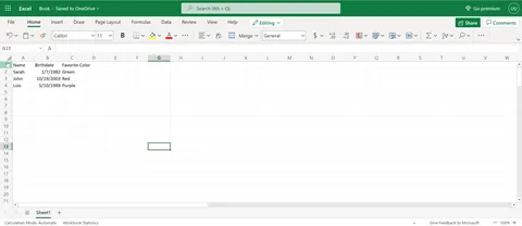 Excel sheet with columns Name, Birthdate, Favorite Color and rows with sample data.